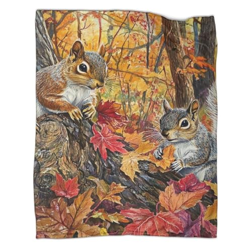 Couverture écureuil douce idée cadeau chaleureuse pour enfants