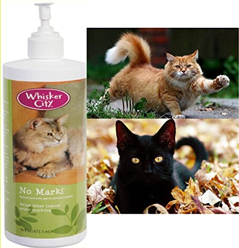 whisker city corner pet fountain filter cartridges