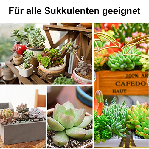 CLSR2U Lavasteine 4,5 Kg – Drainagekies Für Topfpflanzen, Aquarium & Garten, 5–8 Mm Körnung