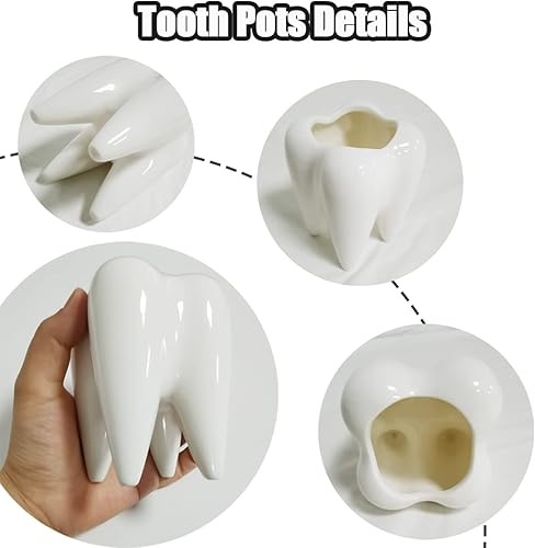 Miniatura 3 de Macetas pequeñas de cerámica para suculentas, macetas con forma de dientes de 3 pulgadas para interiores y exteriores para suculentas y hierbas,