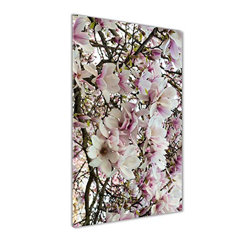 Tableau photo décorative fleurs de magnolia blanc impression sur verre 50x100