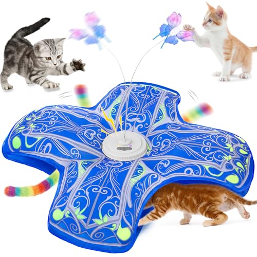 Qraxond Hide and Seek Cat Toy