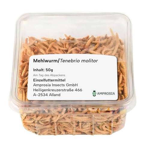 Amprosia Mehlwürmer lebend, Eiweißreiches Futter und Leckerbissen für Reptilien, Amphibien, insektenfressende Haustiere und Vogelfutter, Würmer Snack für Haustiere 50g, Lebende