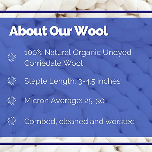 Image of Revolution Fibers Dyed Wool Roving Top | Corriedale Collection of Unspun Fiber | Perfect for Hand Spinning, Needle Felting, Weaving and Crafting (Botanical Garden)