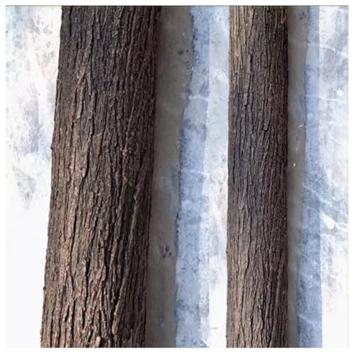 Rotolo Decorativo Corteccia Albero Realistico - Pannello Corteccia Sintetica Impermeabile per Interni/Esterni(0.3x1m)