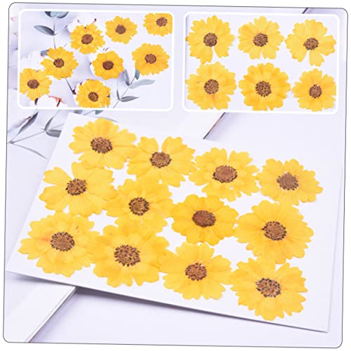 96 unidades flores secas para manualidades DIY miniatura 7