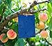 Produktbild huaao Fliegenfalle Blausticker 30Pcs Blautafeln Insektizidfreie Klebefalle Fliegenfänger Garten Balkon Obstfliegenfalle Bekämpfen Trauermücken, Blattläuse, Minierfliegen, Thripsen, Weiße Fliegen