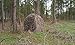 Ghillie Ground Blind Cover, Large to Cover a Ground Blind or Tent (Leafy Green)