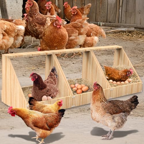 Chicken Egg Nesting Boxes Wall Mount,Wooden Chicken Coop Accessories for Poultry Laying Egg,Large Inner Size for Chicken,Duck,Hense Use,3 Pack