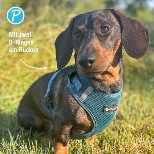 Petlando Hundegeschirr Mesh Vest, leichtes Brustgeschirr aus weichem Mesh & Nylon, stufenlos verstellbar, reflektierend mit 2 D-Ringen, Petrol M, Welpengeschirr mitwachsend