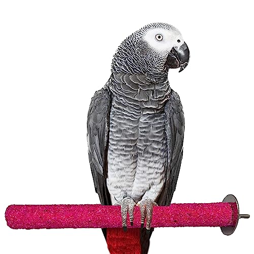 Image of Congo Premium Safe Chew Bird Sandy Sand Perch for Grinding Nail for Birds (Medium Sandy Perch 12 inch)