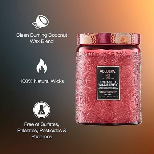 Image of Voluspa Foraged Wildberry Large Jar Candle, 18 oz, Coconut Wax Blend, Berry Scented Candle for Home, 100 Hour Burn Time, Handcrafted in the USA