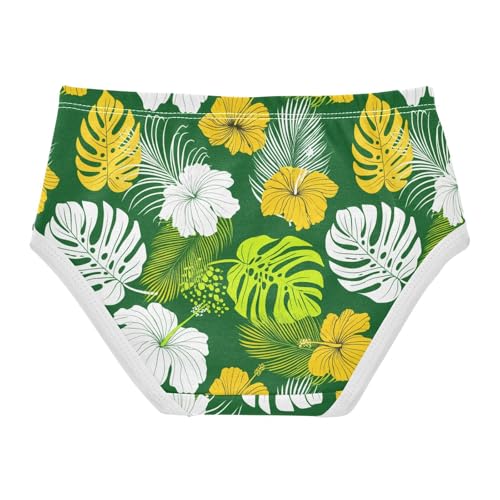 Summer Plant Toddler Girls's Underwear 2T 23022302