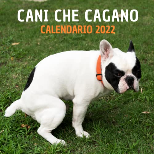 Agenda Gatti Che Cagano Vendita Online AgendaCultura.it