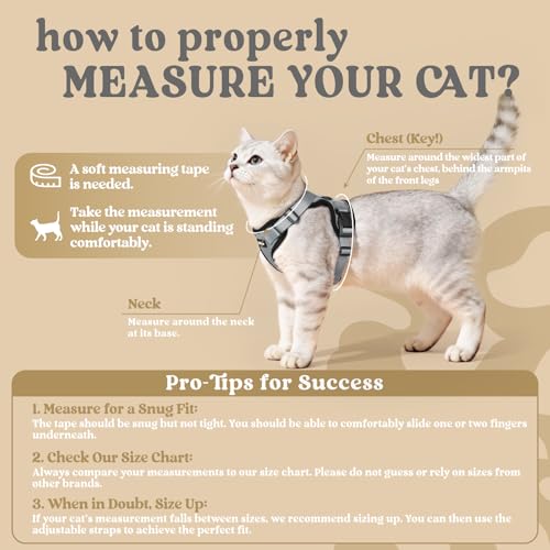 Image of rabbitgoo Cat Harness and Leash Set, Escape Proof Vest, Grey | Soft Breathable Mesh, Easy Adjustable Fit, Snap Buckles, Sturdy Clip, Reflective Strips, for Small & Average Cats Walks, Xs