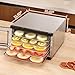 Food Dehydrator Machine - 5 Stainless Steel Trays, Digital Adjustable Timer, 400W, 176°F, Temperature Control, Mini Dryer for Jerky, Herb, Meat, Beef, Fruit and Dog Treats, Model 2015YJ, Silver