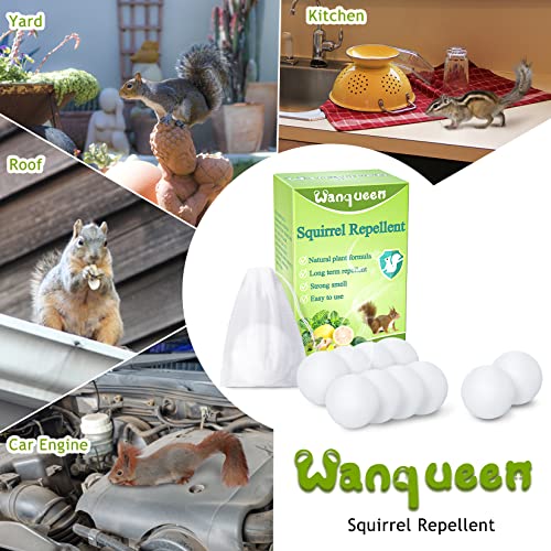 Wanqueen 10 Pack Squirrel Repellent thumb #5