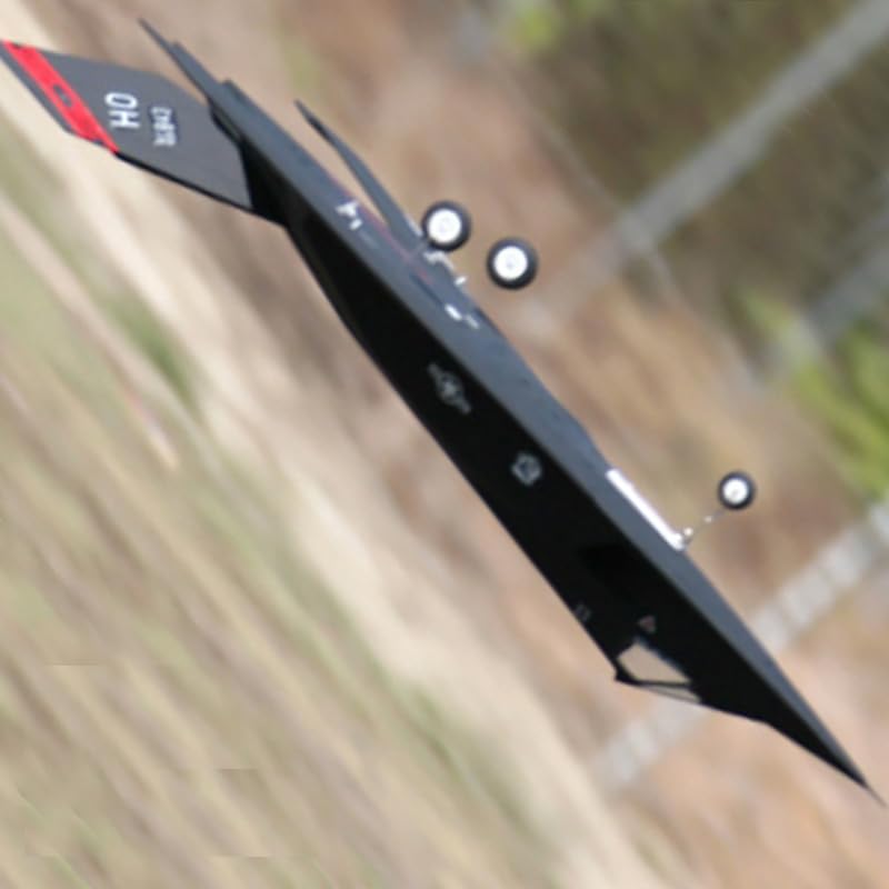 Generic Sky Flight Hobby/Lanxiang/LX 64mm EDF F117 Nighthawk RC