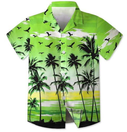 Image of SANGTREE 3 Piece Boy Outfits Short Sleeve Shirt and Shorts Set Beach Vacation Summer Clothes, 3 Months - 9 Years