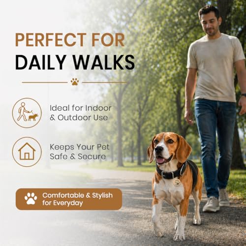 Image of Adjustable Nylon Dog Collar for Dogs & Puppies | Durable & Comfortable Neck Belt 1 Inch (Black, Medium)