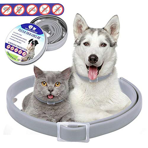 Muy RecomendableCollar Antiparasitario para Perro, Collar de Protección de 8 Meses, contra...