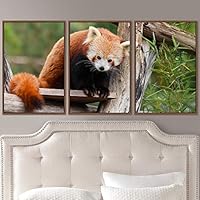 3 Piece Framed Canvas Wall Art Firefox Rustic Urban Canvas Prints Home Artwork Decoration for Living Room,Bedroom - 16