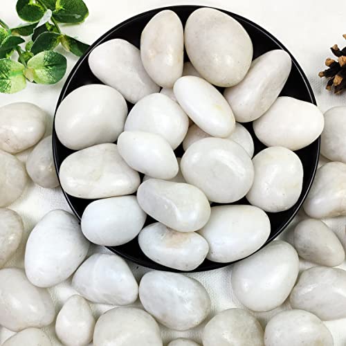 YISZM 5lbs White River Rocks 1-2 Inch Natural Pebbles for Indoor Plants High Polished Decorative Stones Vase Filler Fish Tank Aquariums Landscaping Garden Outdoor and Indoor DIY