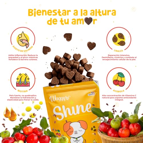 El Mejor Listado de Shine para comprar hoy. 9 Imagen adicional
