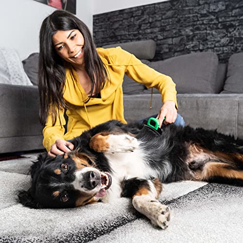 FinoPet Hundebürste Mittelgroße Hunde - Unterfellbürste Hunde, Effiziente Fellbürste Hund Unterwolle - Praktische Unterwolle Bürste Hund Kurzhaar, Leicht zu reinigen, Ergonomisch, Rutschfest (Größe M)