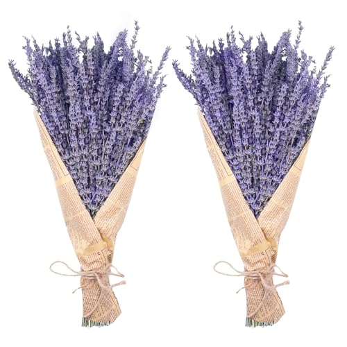 Dried Lavender Bundles