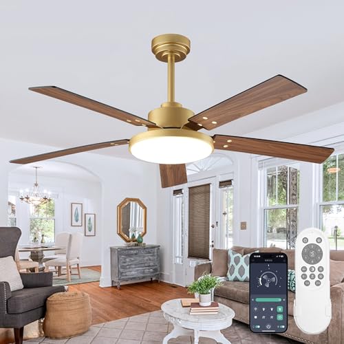 Gold Ceiling Fan with Lights Remote & App