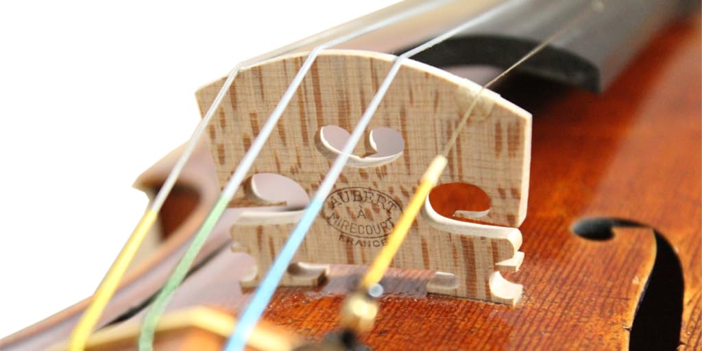 Violino 4/4 Copia Antonio Stradivari 1716 Messia 100% Handmade Olio Vernice Legno Europeo Con Pernambuco Bow Foam Case FPVN09