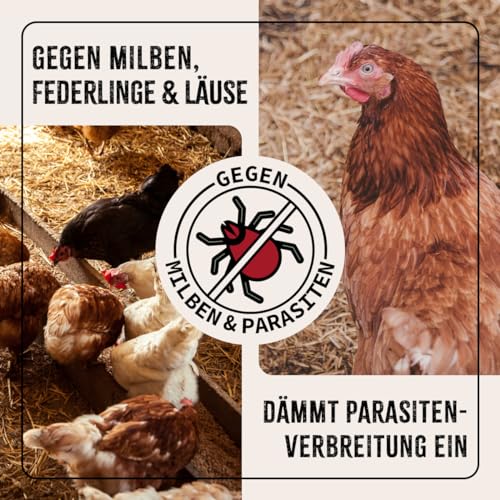 AniForte Milbenspray Hühner & Geflügel 1Liter - gegen Milben & Parasiten, Milben Stop, Milbenmittel als Umgebungsspray & Kontaktspray, zur Vorbeugung & bei akutem Befall