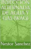  INYECCION ALTERNADA DE AGUA Y GAS (WAG) (Tecnologia de Petroleo nº 1)
