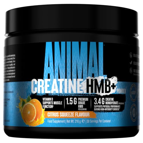 ANIMAL Creatine HMB+ - Creatina monohidrato en polvo con HMB y electrolitos - Favorece el crecimiento muscular, la regeneración y la resistencia - Orange, 30 porciones
