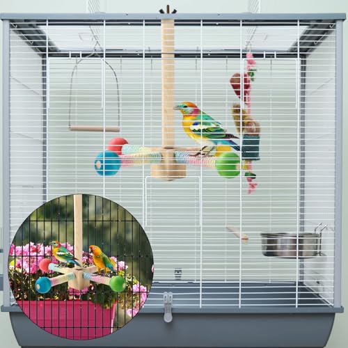 Image of Bird Stand Perch, Colorful Wooden Parrot Perches for Cage Spinning Interactive Cockatiel Toys Parakeet Cage Accessories