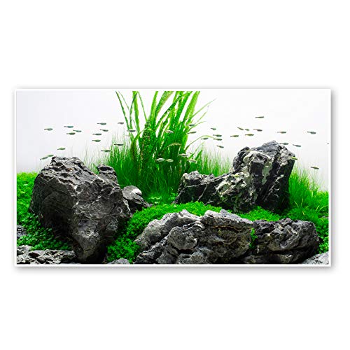Wave Double Background Amazonia Blister, 45 X 100 cm