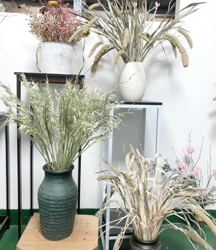 Bouquet de Espigas de Trigo Secas Naturales para Decoración miniatura 5