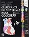 Netter Cuaderno de anatomía para colorear (2ª ed.)