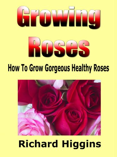Growing Roses - How To Grow Gorgeous Healthy Roses eBook : Higgins ...