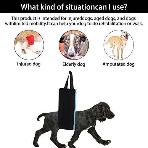 XGzhsa Imbracatura di Supporto per Cani, Pettorina...