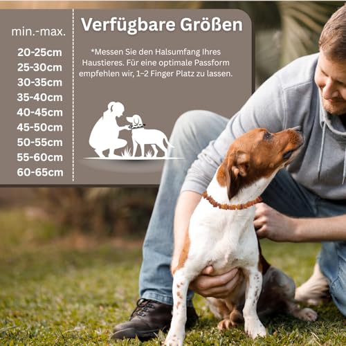 PetLove Bernsteinkette Hund • 100% Baltischer Bernstein • Halsband für Hunde & Katze • Länge: 35cm