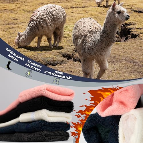 Alpaka Skisocken Herren Damen Thermosocken Kniestrümpfe 2 Paar Wolle Snowboard Socken Dicke Winter Warme Outdoor Sportsocken Kompressionsstrümpfe Extra Kissen Schweißabsorbierend Atmungsaktiv 35-51