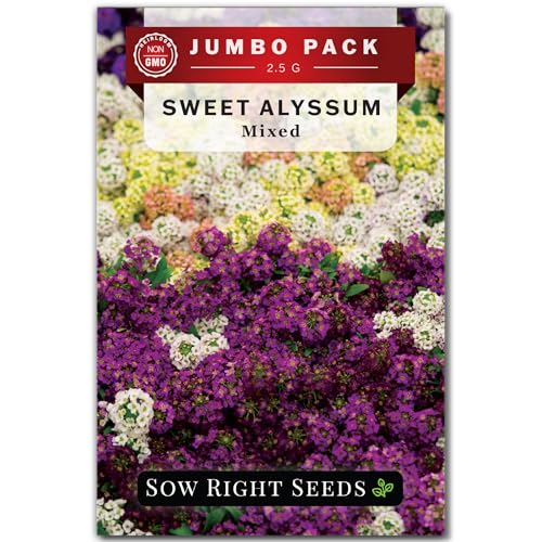 Sow Right Seeds - Bulk Sweet Alyssum Mix Seeds for Planting - Non-GMO Heirloom Jumbo Pack - Annual Ground Cover - Ideal for Gardens & Borders - Attracts Pollinators - Colorful Blooms