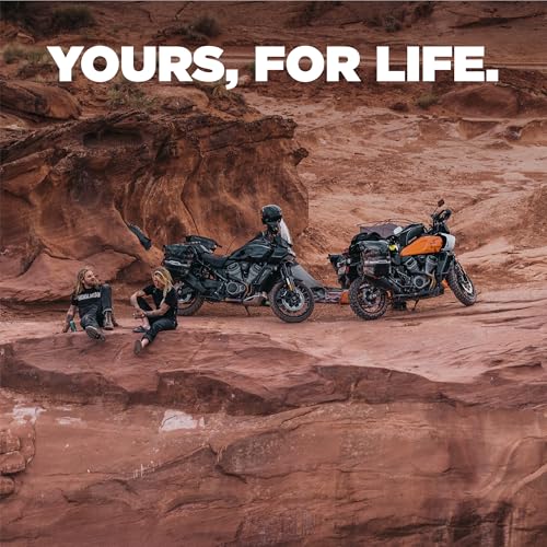 Benchmade - Mini Narrows Folding Knife with Black Titanium Handle (743BK-01) - Image 2