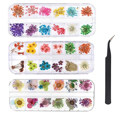 KAHEIGN 96 Pièces Fleur Séchée pour Ongles, 3D Nail Art Véritable Fleur Séchée Nail Applique Nail Pièces Préservé Fleur Manucure Nail Art Décoration...