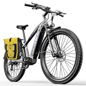 elektrische fiets voor volwassenen, elektrische fietsen mountainbike, offroad electric bike, VTT ebike, MTB elektrische fiets voor heren, dames, Verwijderbare lithiumbatterij 48V 672 Wh