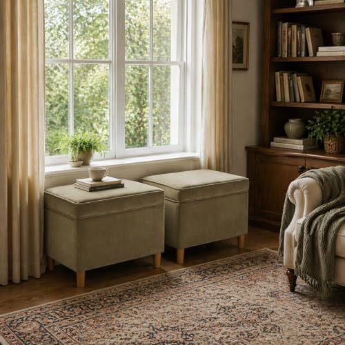 Image of HomePop 24 inch Dinah Collection Storage Ottoman - Light Sage Green Velvet