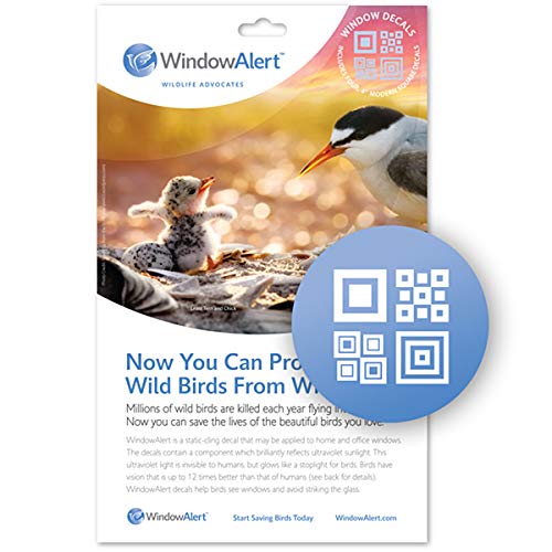 WindowAlert Birds Choice Modern Square… (4)