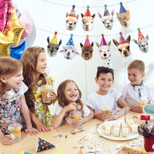Image of Hooqict Llama Birthday Banner Garland Funny Happy Birthday Decorations Party Banner for Kids Adults Animal Birthday Party Decorations Supplies